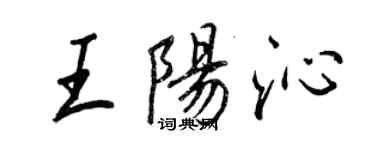王正良王阳沁行书个性签名怎么写