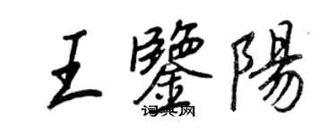 王正良王鉴阳行书个性签名怎么写