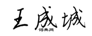 王正良王成城行书个性签名怎么写