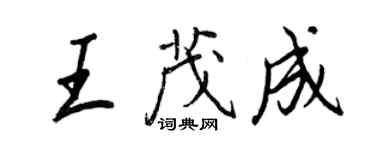 王正良王茂成行书个性签名怎么写