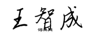 王正良王智成行书个性签名怎么写