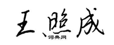 王正良王照成行书个性签名怎么写