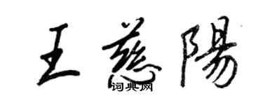 王正良王慈阳行书个性签名怎么写