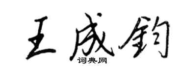 王正良王成钧行书个性签名怎么写