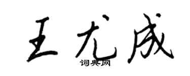 王正良王尤成行书个性签名怎么写