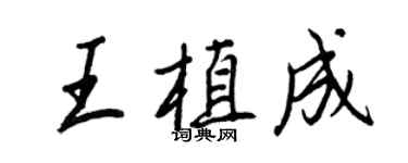 王正良王植成行书个性签名怎么写