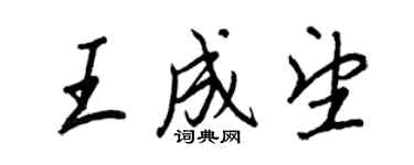 王正良王成望行书个性签名怎么写