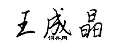 王正良王成晶行书个性签名怎么写