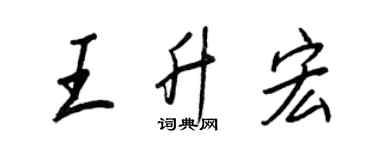 王正良王升宏行书个性签名怎么写