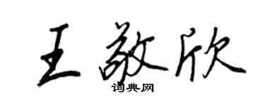 王正良王敬欣行书个性签名怎么写