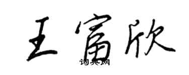 王正良王富欣行书个性签名怎么写