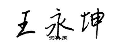 王正良王永坤行书个性签名怎么写