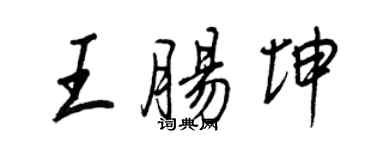 王正良王肠坤行书个性签名怎么写