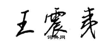 王正良王震夷行书个性签名怎么写
