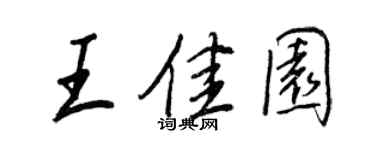 王正良王佳园行书个性签名怎么写