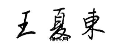 王正良王夏东行书个性签名怎么写