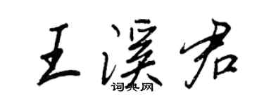王正良王溪君行书个性签名怎么写