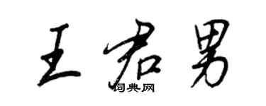 王正良王君男行书个性签名怎么写