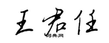 王正良王君任行书个性签名怎么写