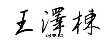 王正良王泽栋行书个性签名怎么写