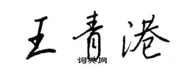 王正良王青港行书个性签名怎么写