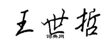 王正良王世哲行书个性签名怎么写