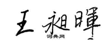 王正良王昶晖行书个性签名怎么写