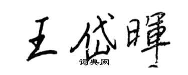 王正良王岱晖行书个性签名怎么写