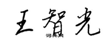 王正良王智光行书个性签名怎么写