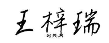 王正良王梓瑞行书个性签名怎么写