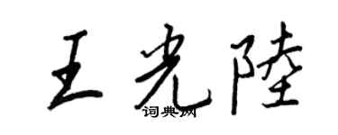 王正良王光陆行书个性签名怎么写