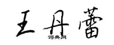 王正良王丹蕾行书个性签名怎么写