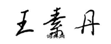 王正良王素丹行书个性签名怎么写