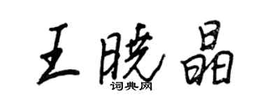 王正良王晓晶行书个性签名怎么写