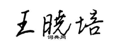 王正良王晓培行书个性签名怎么写