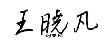 王正良王晓凡行书个性签名怎么写
