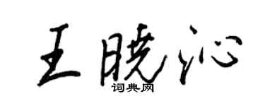 王正良王晓沁行书个性签名怎么写