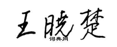 王正良王晓楚行书个性签名怎么写