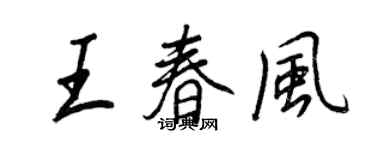 王正良王春风行书个性签名怎么写