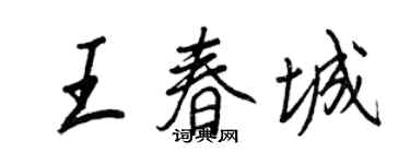 王正良王春城行书个性签名怎么写