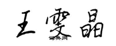 王正良王雯晶行书个性签名怎么写
