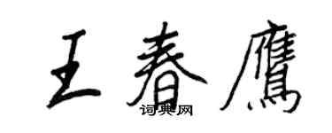 王正良王春鹰行书个性签名怎么写