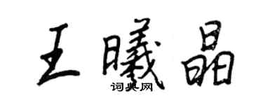 王正良王曦晶行书个性签名怎么写