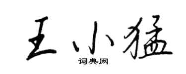 王正良王小猛行书个性签名怎么写