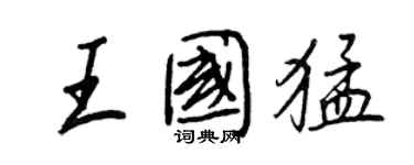 王正良王国猛行书个性签名怎么写