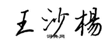 王正良王沙杨行书个性签名怎么写