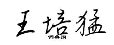 王正良王培猛行书个性签名怎么写