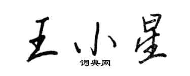 王正良王小星行书个性签名怎么写