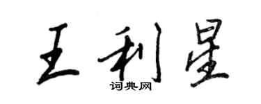 王正良王利星行书个性签名怎么写