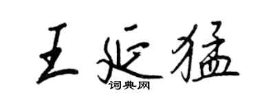 王正良王延猛行书个性签名怎么写